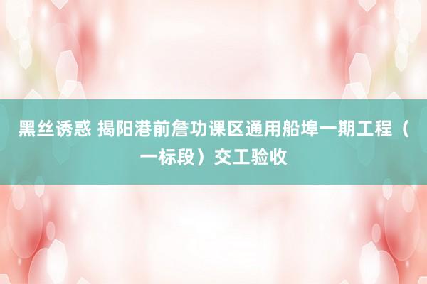 黑丝诱惑 揭阳港前詹功课区通用船埠一期工程（一标段）交工验收