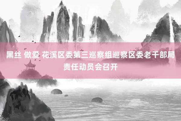 黑丝 做爱 花溪区委第三巡察组巡察区委老干部局责任动员会召开
