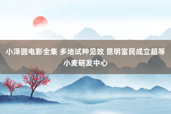 小泽圆电影全集 多地试种见效 昆明富民成立超等小麦研发中心