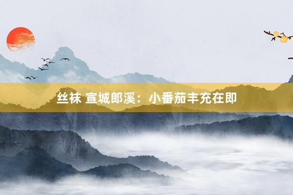 丝袜 宣城郎溪：小番茄丰充在即