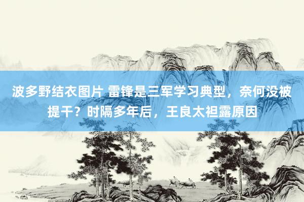 波多野结衣图片 雷锋是三军学习典型，奈何没被提干？时隔多年后，王良太袒露原因