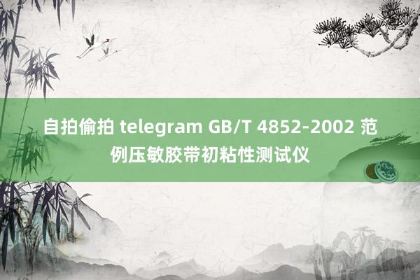 自拍偷拍 telegram GB/T 4852-2002 范例压敏胶带初粘性测试仪