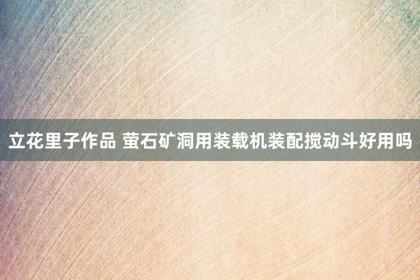 立花里子作品 萤石矿洞用装载机装配搅动斗好用吗