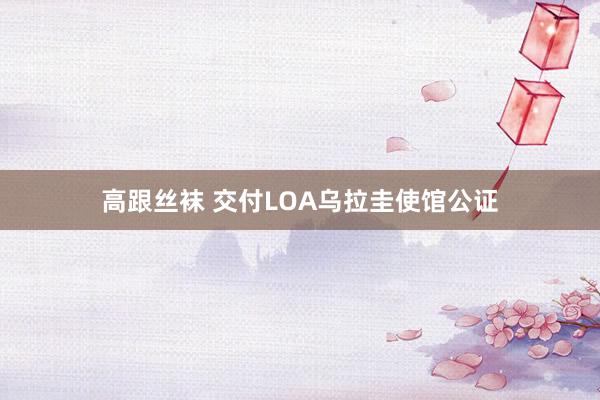 高跟丝袜 交付LOA乌拉圭使馆公证