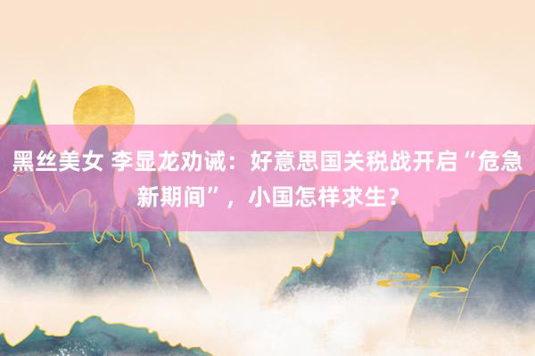 黑丝美女 李显龙劝诫：好意思国关税战开启“危急新期间”，小国怎样求生？