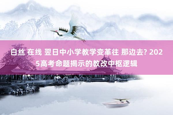 白丝 在线 翌日中小学教学变革往 那边去? 2025高考命题揭示的教改中枢逻辑