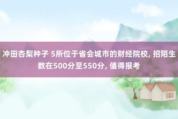 冲田杏梨种子 5所位于省会城市的财经院校, 招陌生数在500分至550分, 值得报考