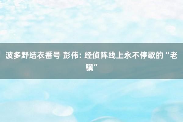 波多野结衣番号 彭伟: 经侦阵线上永不停歇的“老骥”