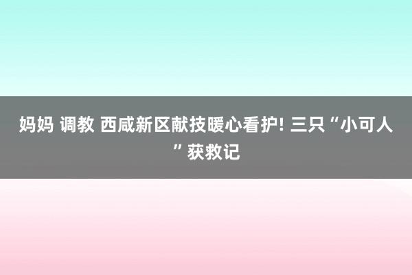 妈妈 调教 西咸新区献技暖心看护! 三只“小可人”获救记