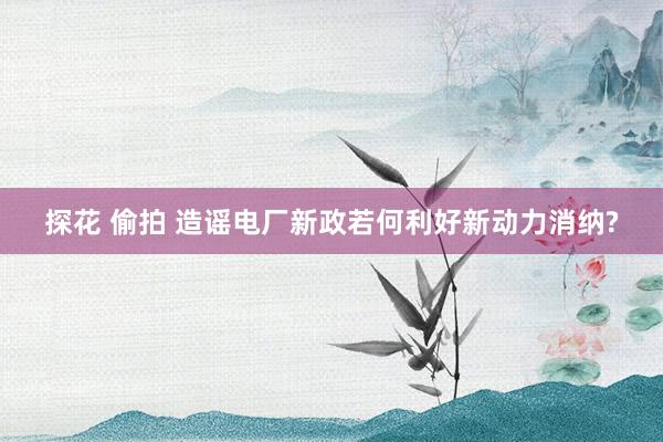 探花 偷拍 造谣电厂新政若何利好新动力消纳?