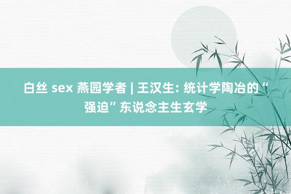 白丝 sex 燕园学者 | 王汉生: 统计学陶冶的“强迫”东说念主生玄学