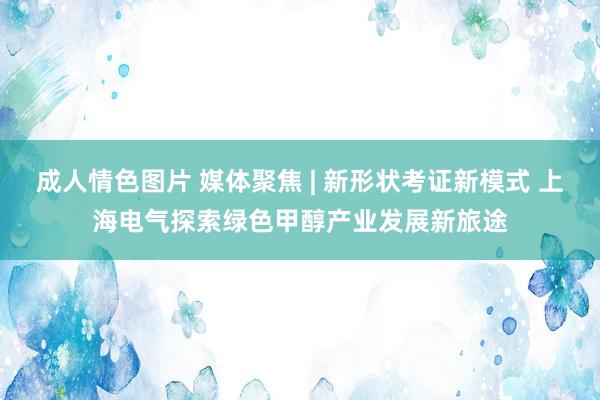 成人情色图片 媒体聚焦 | 新形状考证新模式 上海电气探索绿色甲醇产业发展新旅途