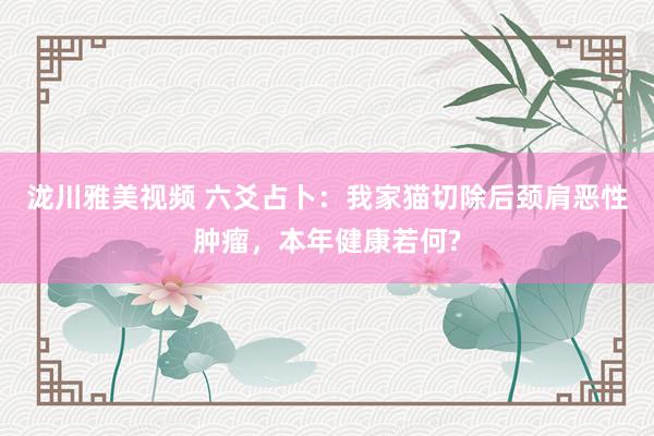 泷川雅美视频 六爻占卜：我家猫切除后颈肩恶性肿瘤，本年健康若何?
