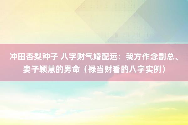 冲田杏梨种子 八字财气婚配运：我方作念副总、妻子颖慧的男命（禄当财看的八字实例）