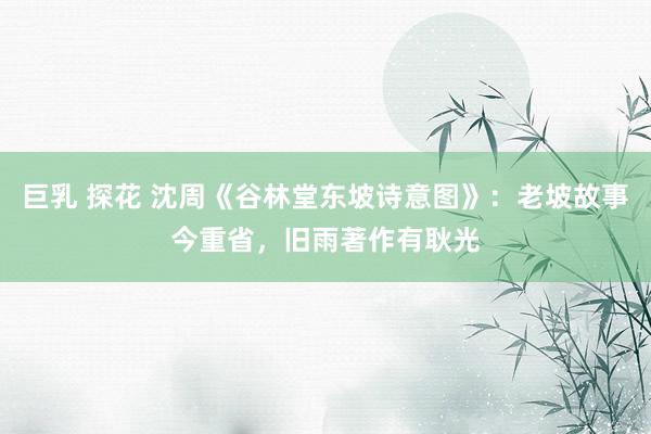 巨乳 探花 沈周《谷林堂东坡诗意图》：老坡故事今重省，旧雨著作有耿光