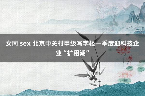 女同 sex 北京中关村甲级写字楼一季度迎科技企业“扩租潮”